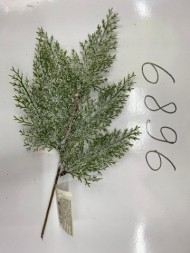 ветка ели 30 см (1200)